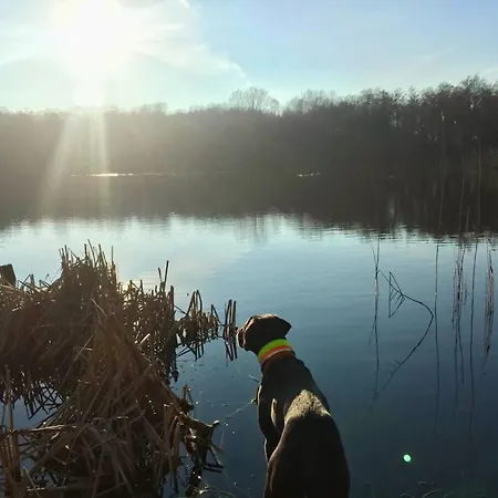 With 2 Bedrooms Ferienhaus Seedorf (Segeberg)