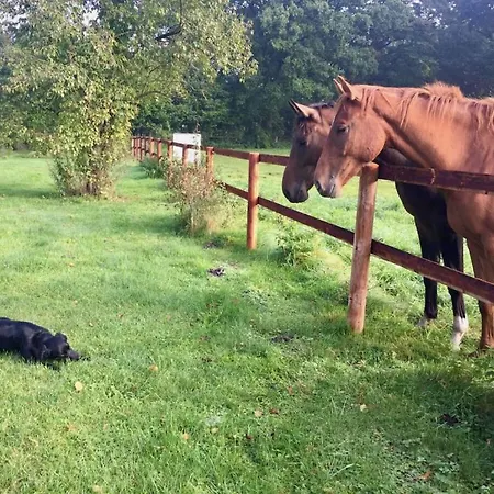 With 2 Bedrooms * Seedorf (Segeberg)